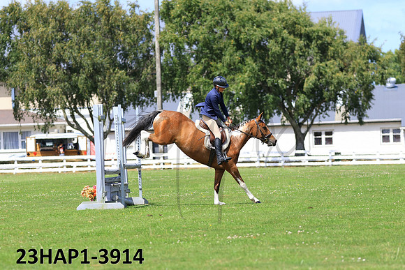 23HAP1-3914