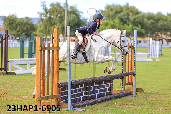 23HAP1-6905