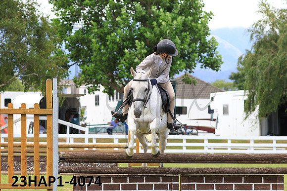 23HAP1-4074