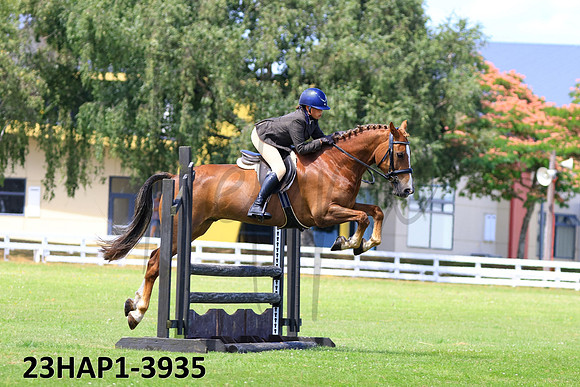 23HAP1-3935