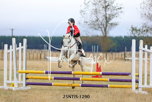 25NTIS-1290