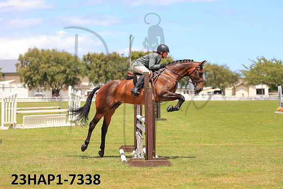 23HAP1-7338