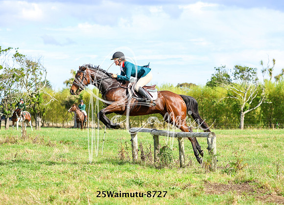 25Waimutu-8727