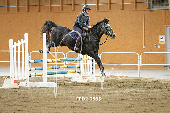 FPD2-0865