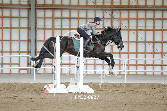 FPD2-0827
