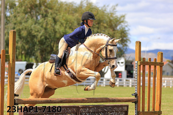 23HAP1-7180
