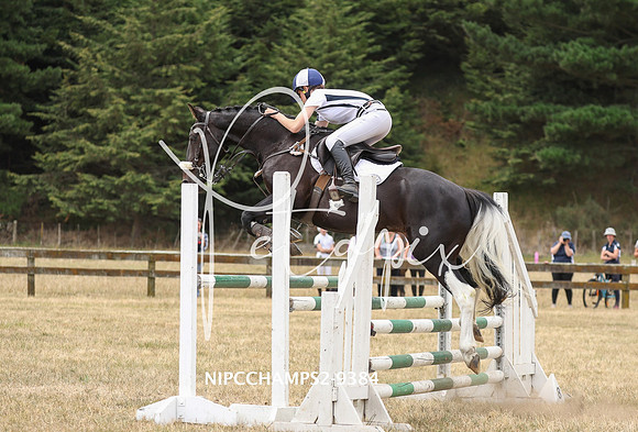 NIPCCHAMPS2-9384