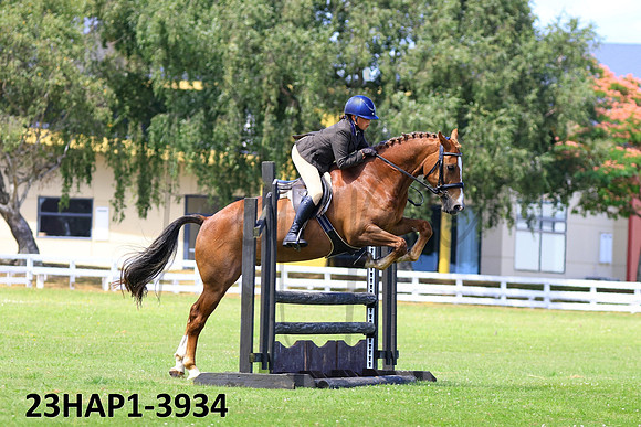 23HAP1-3934