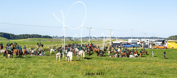 25ERC-6477
