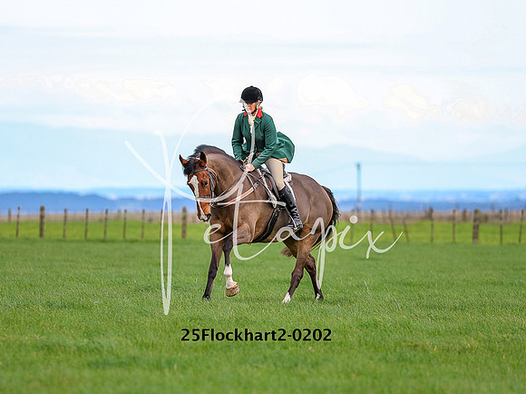 25Flockhart2-0202