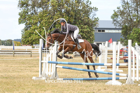 NIPCCHAMPS2-7981