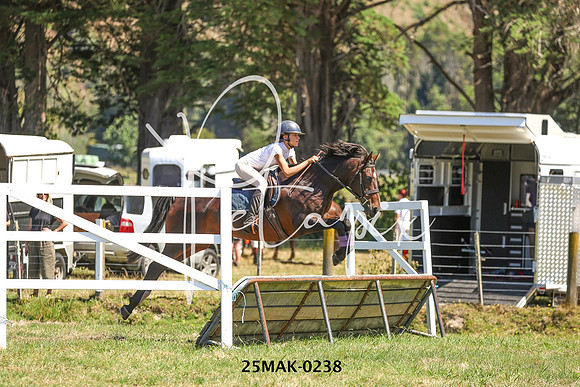 25MAK-0238