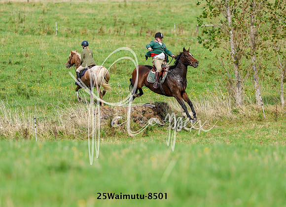 25Waimutu-8501