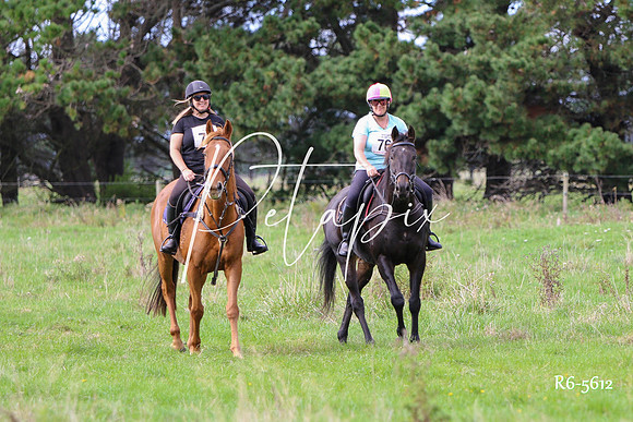 R6-5612
