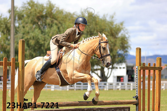 23HAP1-7221