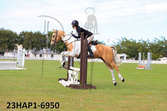 23HAP1-6950