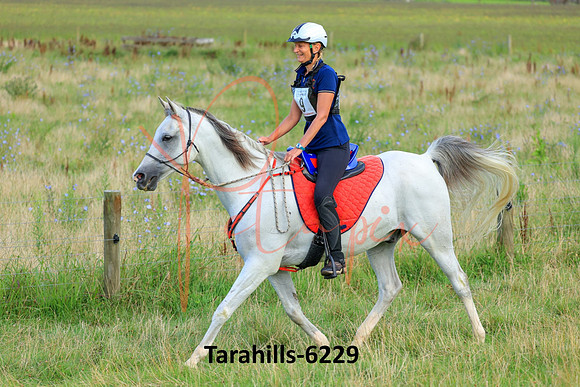 Tarahills-6229