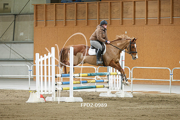 FPD2-0989