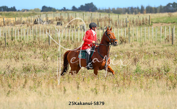 25Kakanui-5879
