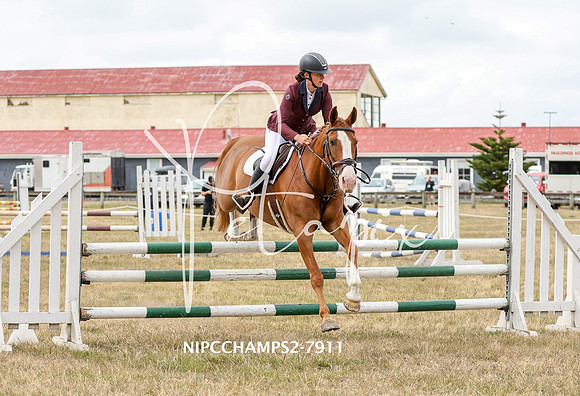 NIPCCHAMPS2-7911
