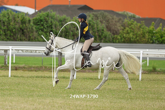 24WAP-3790