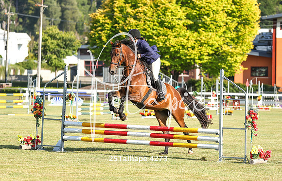 25Taihape-4273
