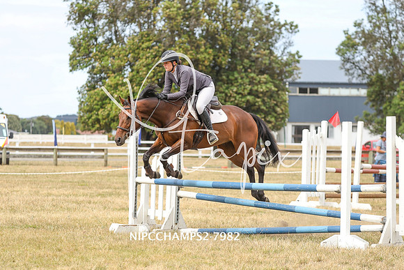 NIPCCHAMPS2-7982
