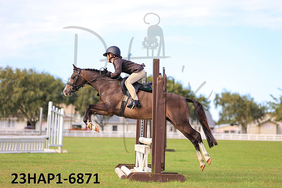 23HAP1-6871