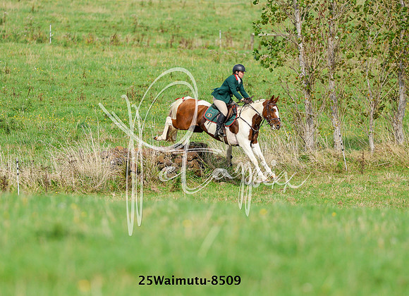 25Waimutu-8509