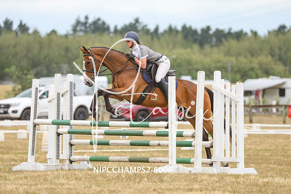 NIPCCHAMPS2-8006