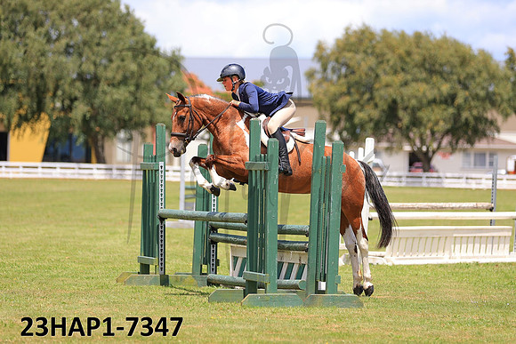 23HAP1-7347