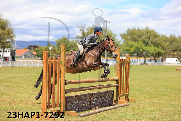 23HAP1-7292