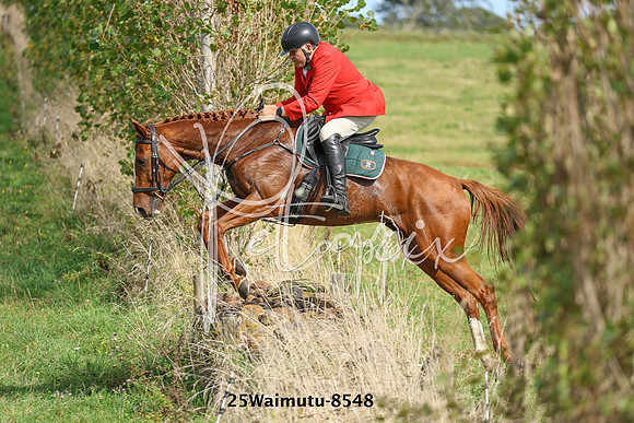 25Waimutu-8548