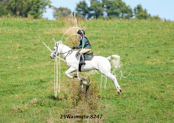 25Waimutu-8247