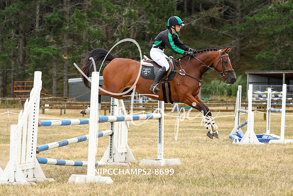 NIPCCHAMPS2-8699