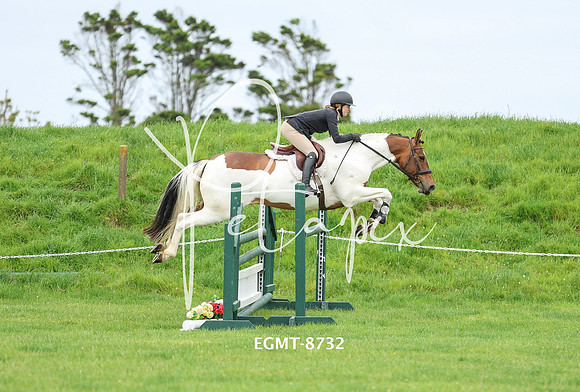 EGMT-8732