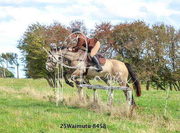 25Waimutu-8458