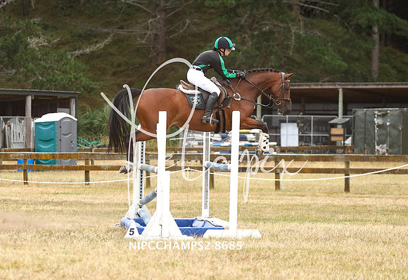 NIPCCHAMPS2-8685