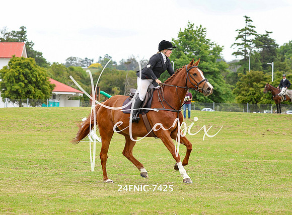24FNIC-7425