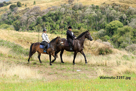 Waimutu-2197