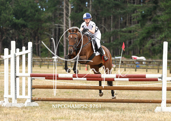 NIPCCHAMPS2-8761
