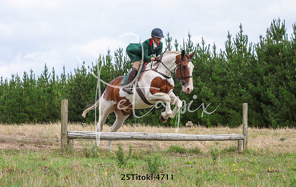 25Titoki-4711