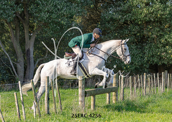 25ERC-4256