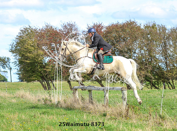 25Waimutu-8373