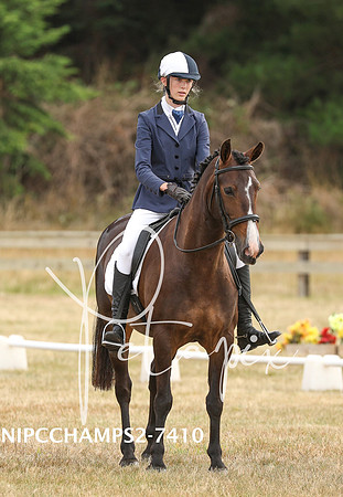 NIPCCHAMPS2-7410