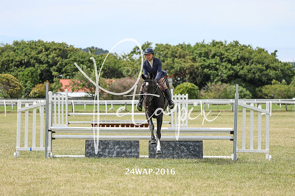 24WAP-2016