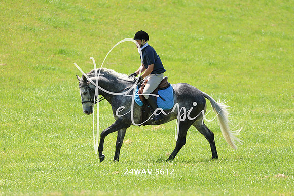 24WAV-5612