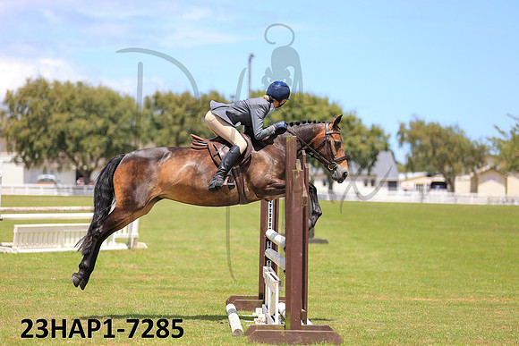 23HAP1-7285