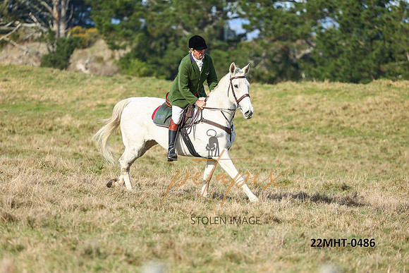 22MHT-0486