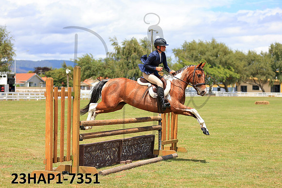 23HAP1-7351